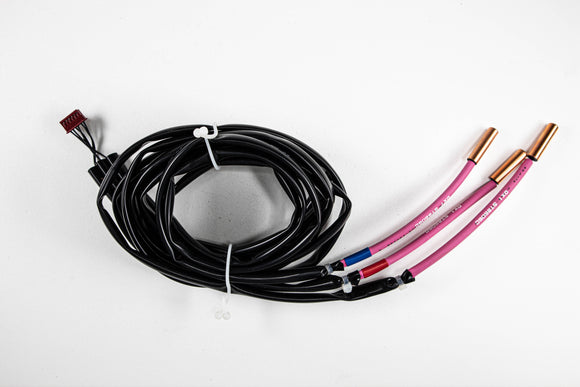 300721P - GRUPPO SONDE TEMPERATURA