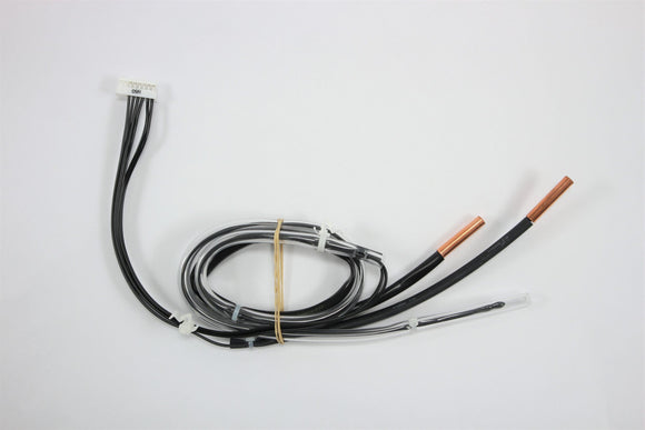 5009957 - GRUPPO SONDE TEMPERATURA